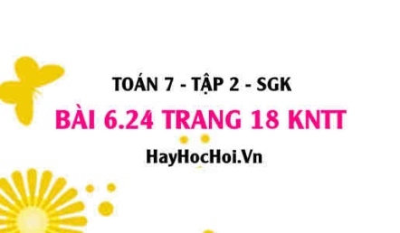 Bài 6.24 trang 18 Toán 7 Tập 2 Kết nối tri thức